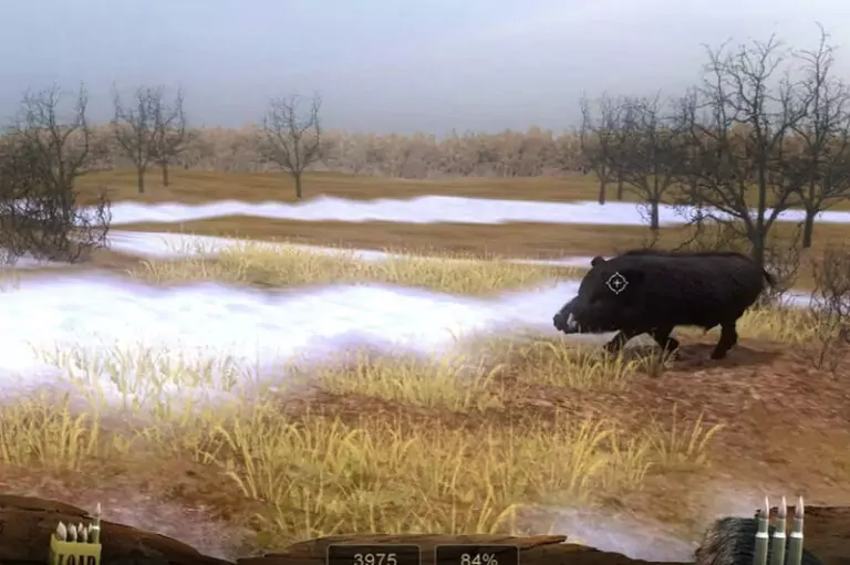 wildschweinjagd
