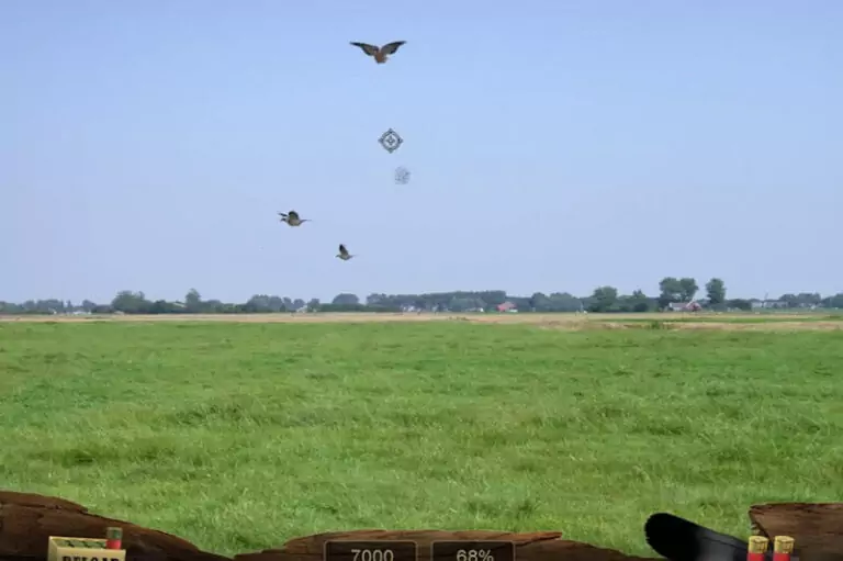 taubenjagd